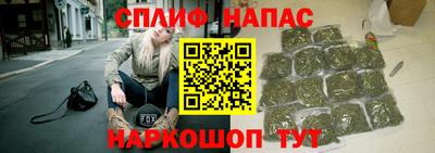 МДПВ Новокубанск
