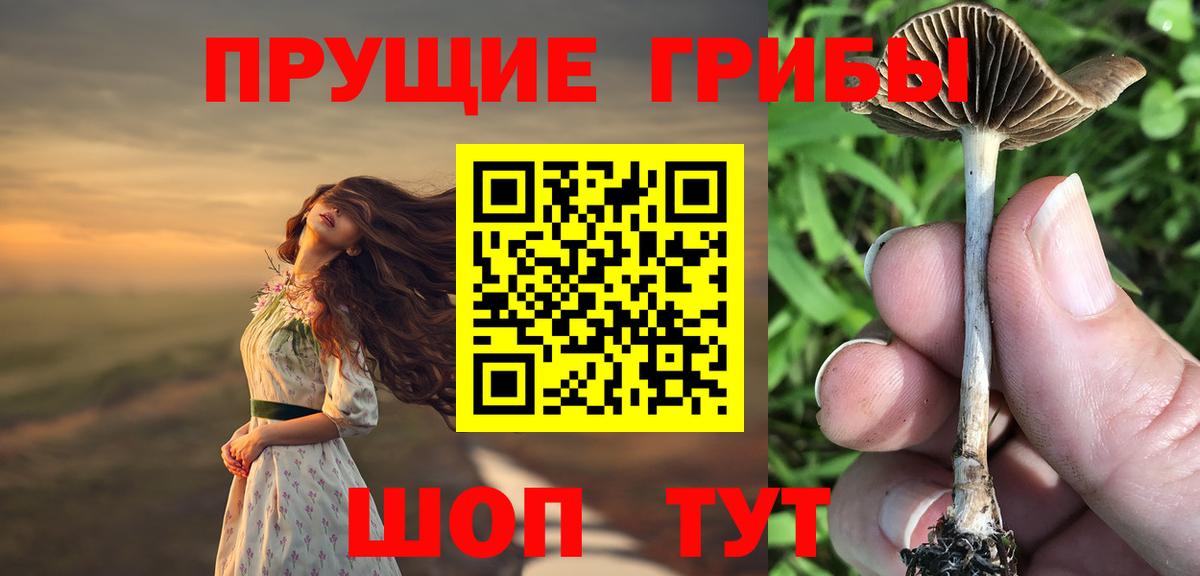 Галлюциногенные грибы мицелий  Вход с VPN  Шадринск 